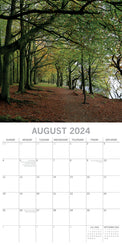 Woodland Scenes - 2024 Square Wall Calendar 16 Months Planner Xmas New Year Gift