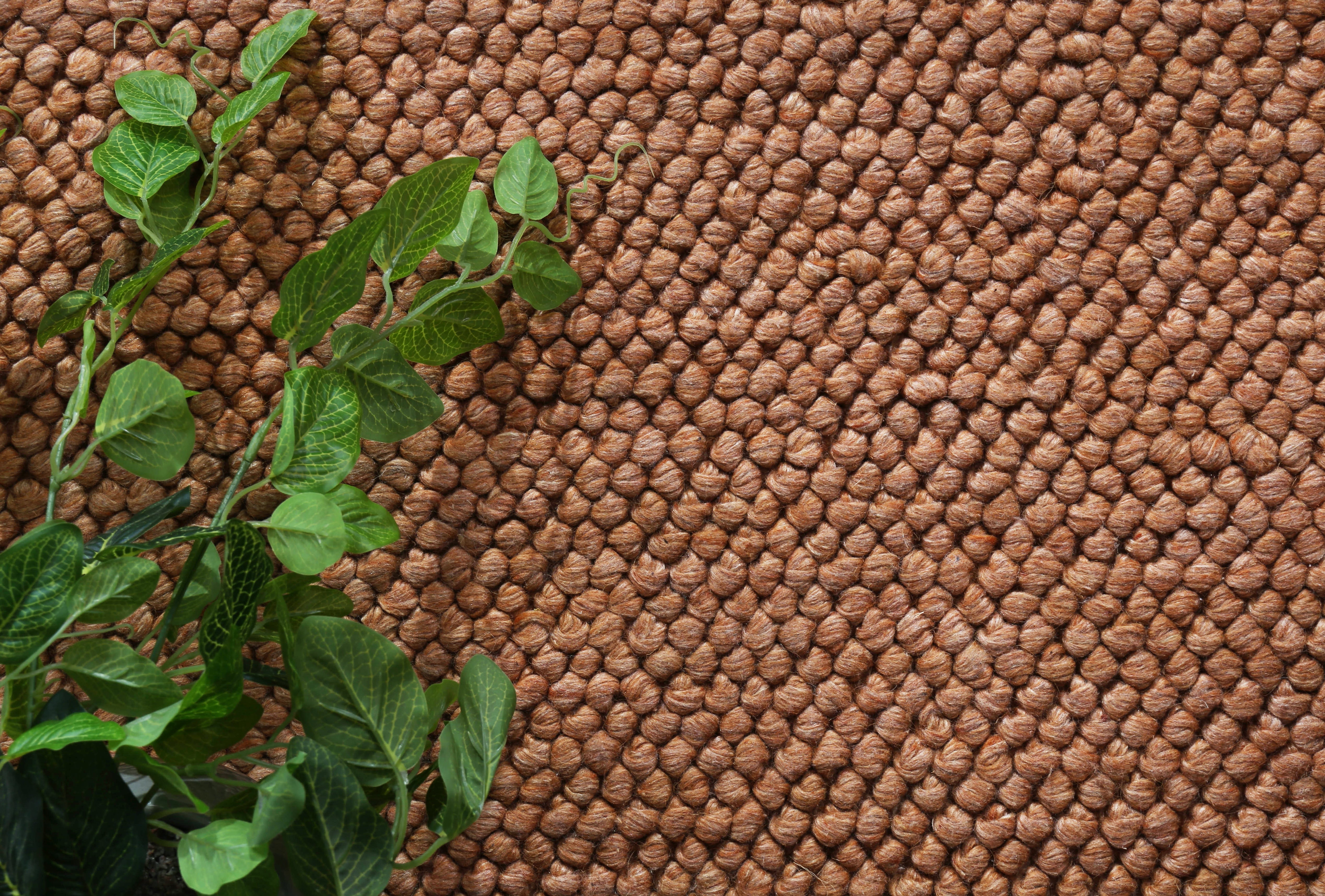 Harlow Loopy Copper Wool Blend Rug 200x290