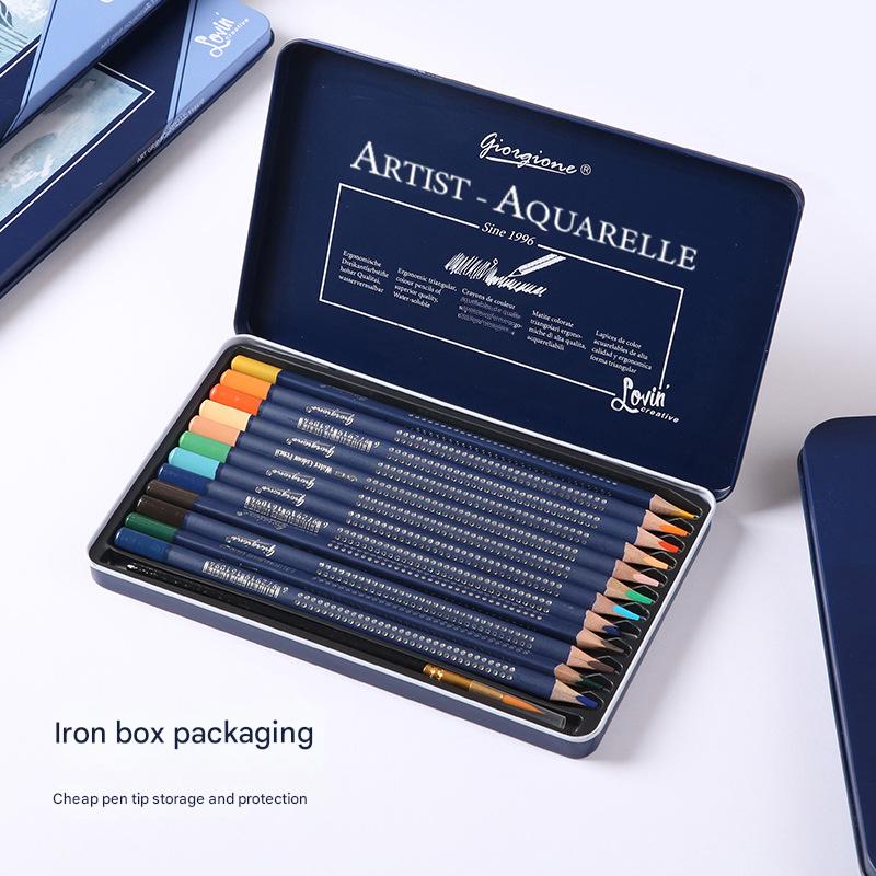 Giorgione Artist Watercolour Pencils 12-Color Set - Premium Water Soluble Colored Pencils for Art & Drawing with Tin Case