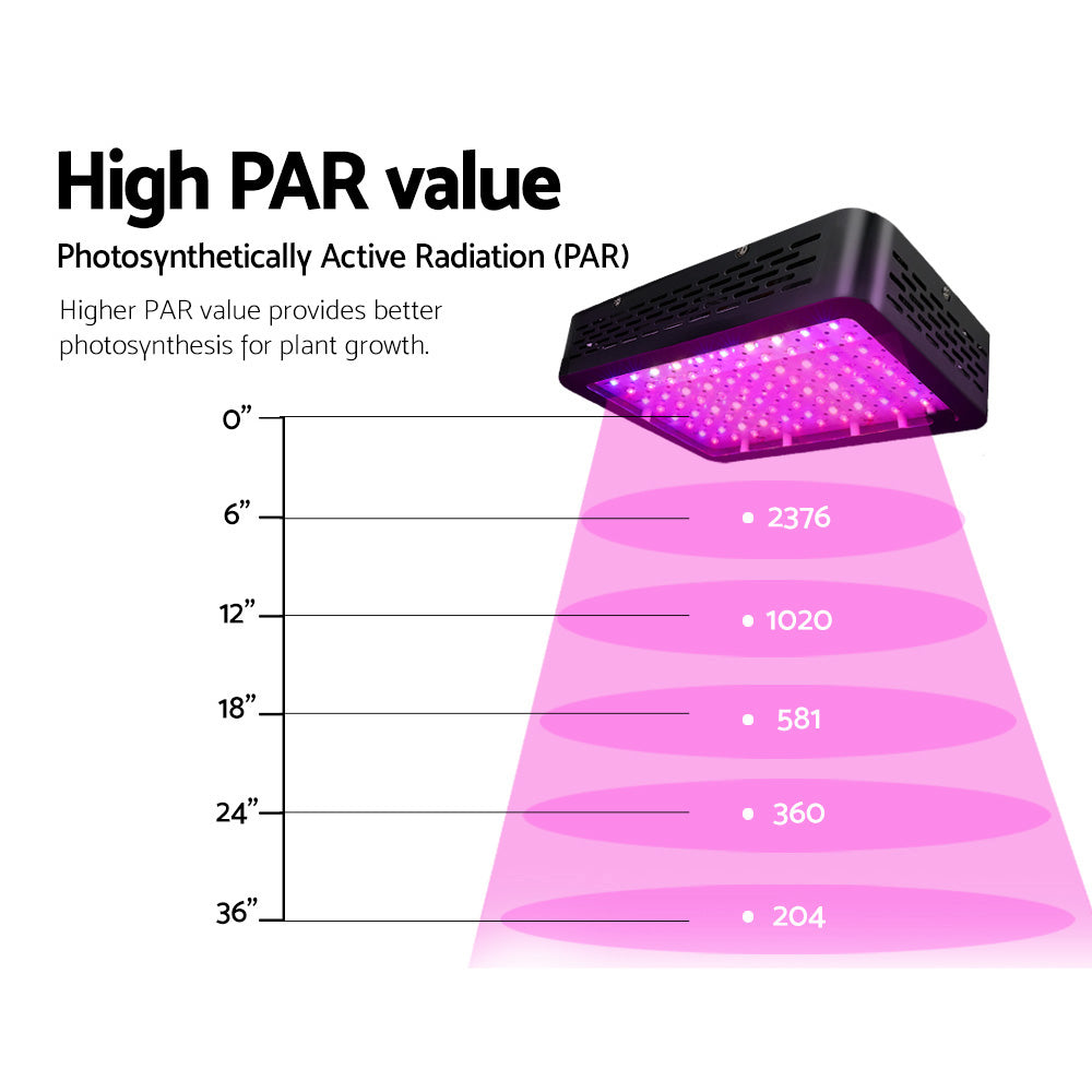 Platinum Deals