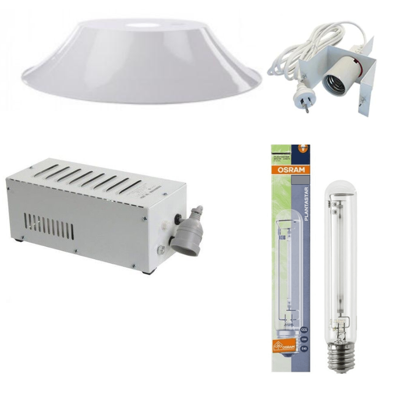 Platinum Deals