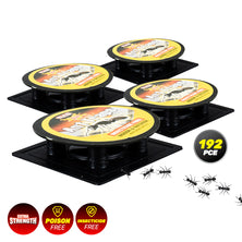 SAS Pest Control 192PCE Ant Traps Fast Acting Indoor/Outdoor Disposable