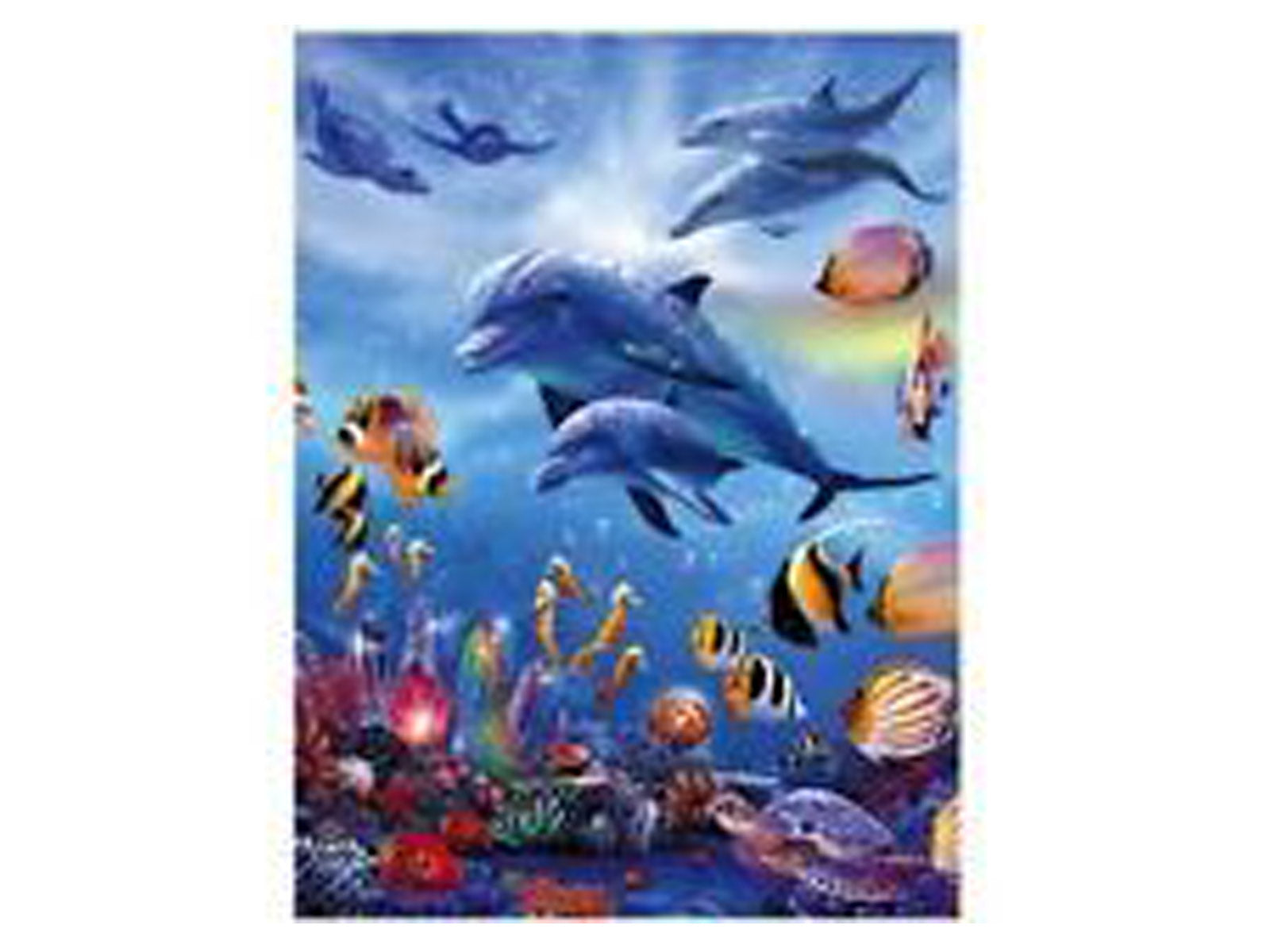 3d livelife poster seahorse kingdom