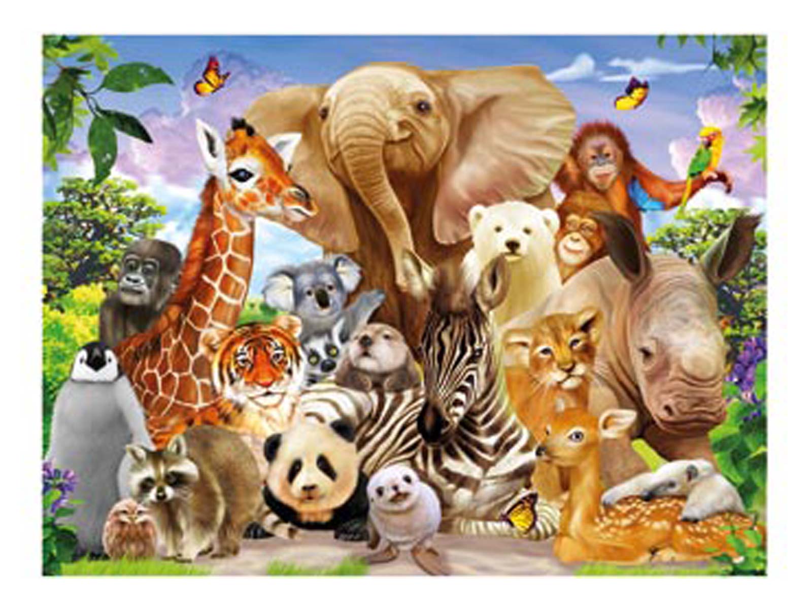 3d livelife poster wild smile